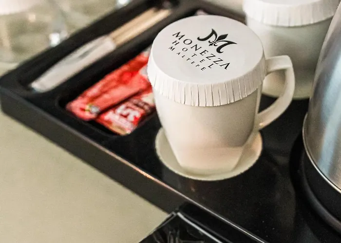 Monezza Maltepe Rezidans