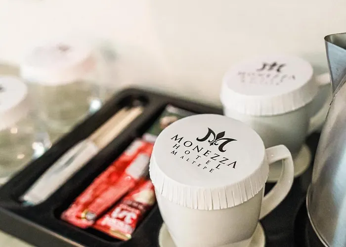 Monezza Maltepe Rezidans 3* İstanbul